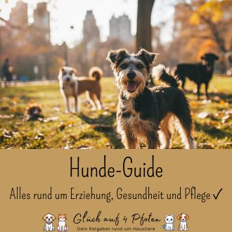 Hunde-Guide - Alles rund um Erziehung Gesundheit und Pflege