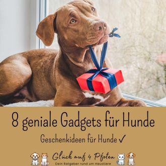 8 geniale Gadgets für Hunde - Geschenkideen für Hunde