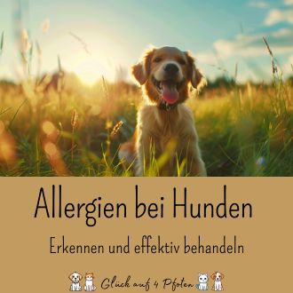 Allergien bei Hunden - Erkennen und effektiv behandeln