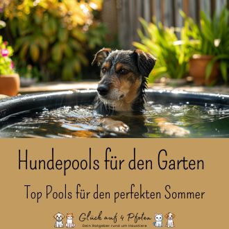 Hundepools für den Garten - Top Pools für den perfekten Sommer