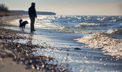 Ostseestrand für Hunde