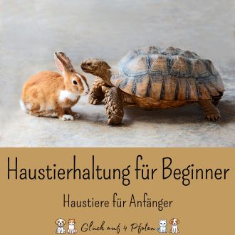 Haustierhaltung für Beginner - Haustiere für Anfänger