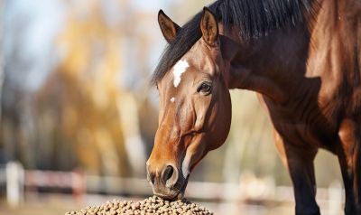 gesunde pferdepellet für pferde