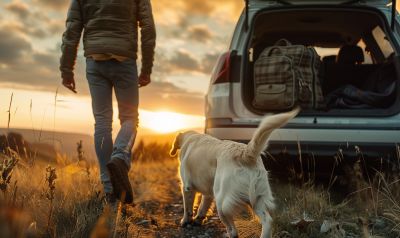 Urlaub mit Hund Pause am Auto