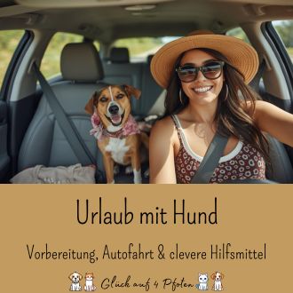 Urlaub mit Hund - Vorbereitung Autofahrt und clevere Hilfsmittel